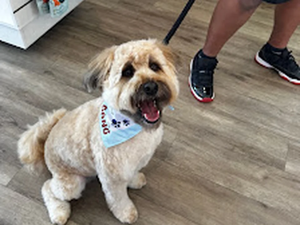Woof Gang Bakery & Grooming Plaza Midwood